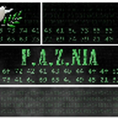 The Free Republic of P.A.Z.NIA — Consulting